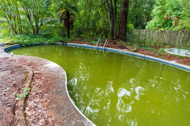 Green Pool Recovery Timeline in Houston