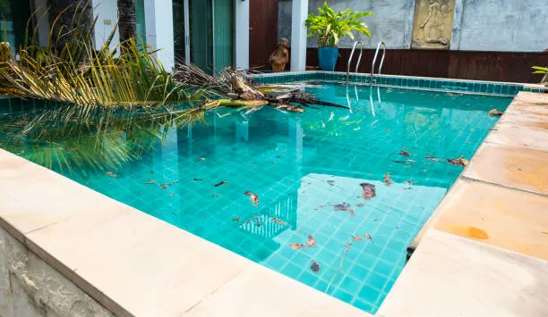Leaves-fallen-into-swimming-pool-storm-season