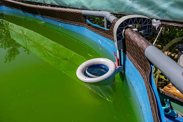 dirty-above-ground-pool-with-green-algae